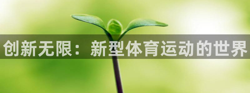 尊龙官方正版app集团官网网址:创新无限:新型体育运动的世界