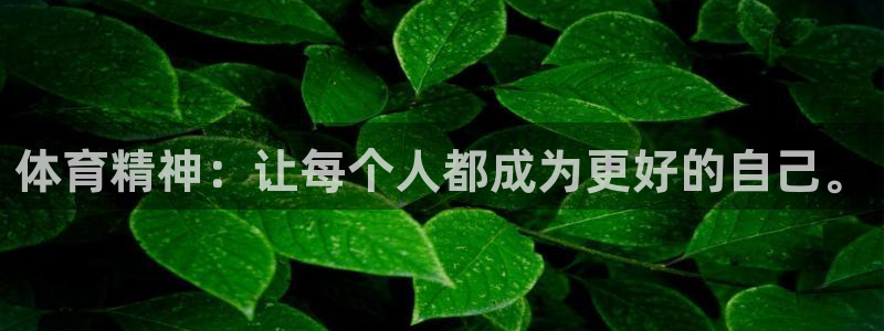 尊龙官方正版app娱乐平台:体育精神:让每个人都成为更好的自