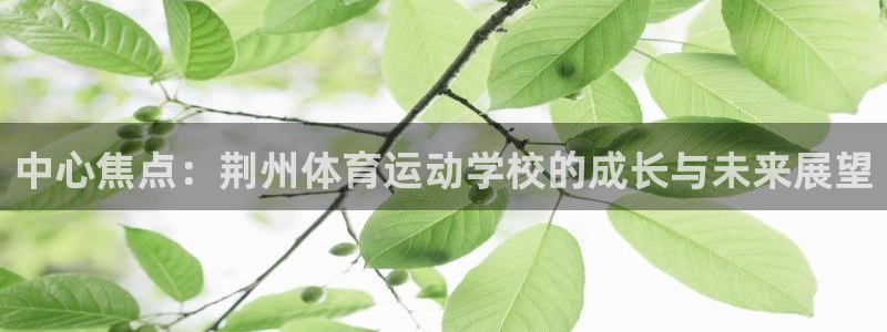 尊龙官网下载招商电话地址查询:中心焦点:荆州体育运动学校的成