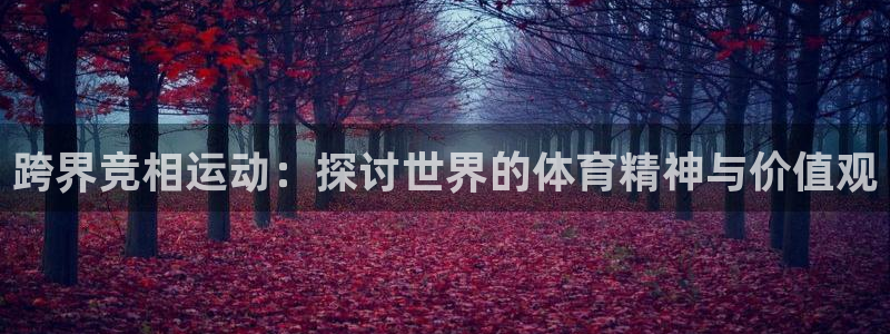 尊龙官方正版app代理:跨界竞相运动:探讨世界的体育精神与价