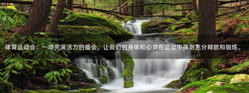 尊龙官方正版app开户:体育运动会:一场充满活力的盛会,让我