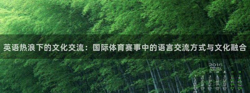 尊龙官网下载平台注册:英语热浪下的文化交流:国际体育赛事中的